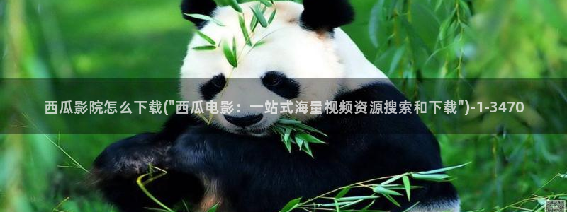 神马西瓜电影院